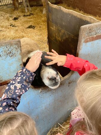 Kindergeburtstag auf dem Stautenhof